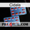 Cidala 05